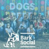 Bark Social | MCFJC Foundation